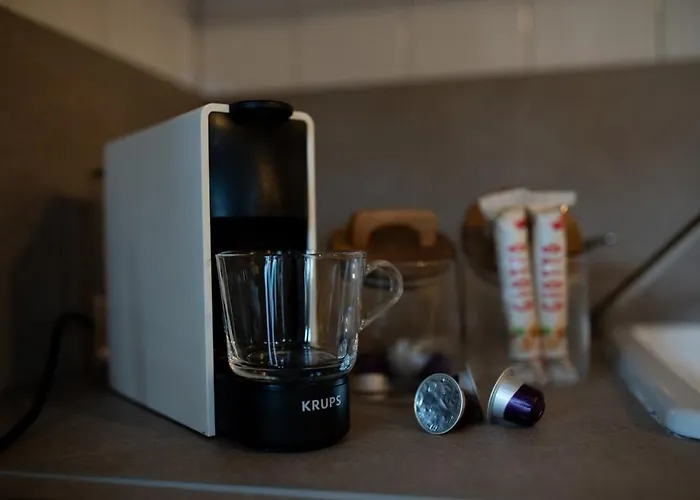 Zentrale Altstadtwohnung Mit Privatem Saunabereich Appartement